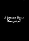 A Sinner in Mecca (2015).jpg